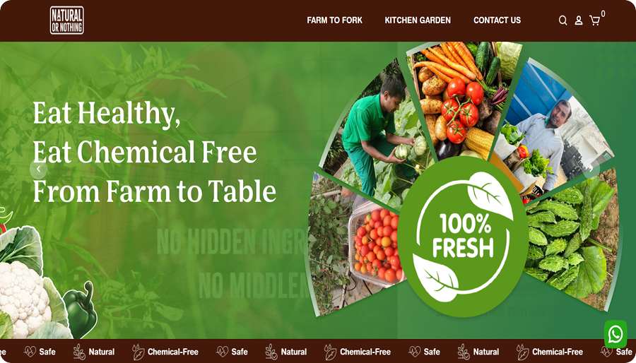 Eat Healthy game-styled education interface